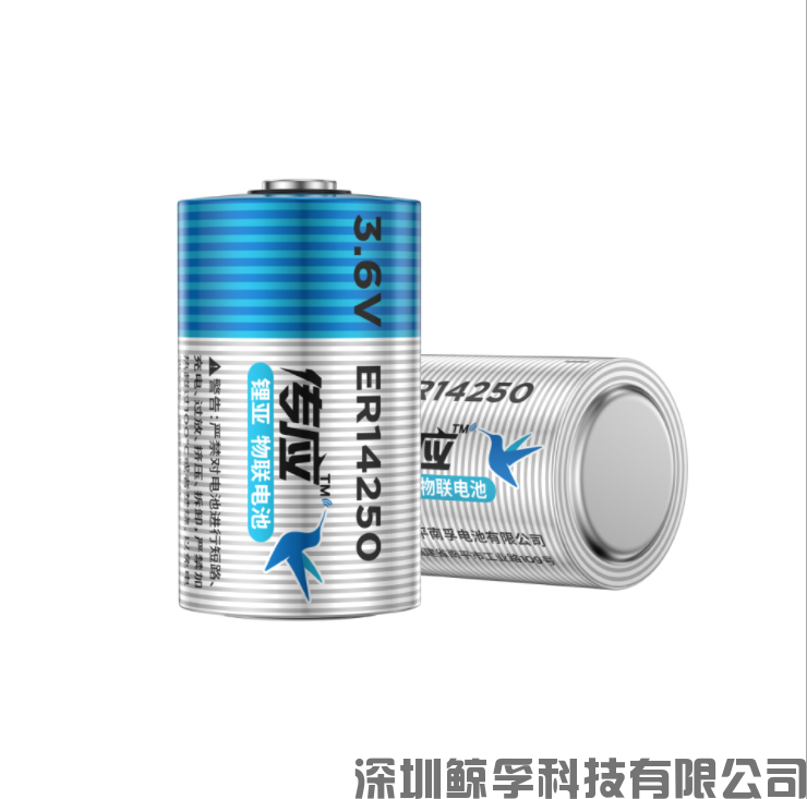 超大容量寬溫鋰亞導電性更強電池——ER14250(圖2)